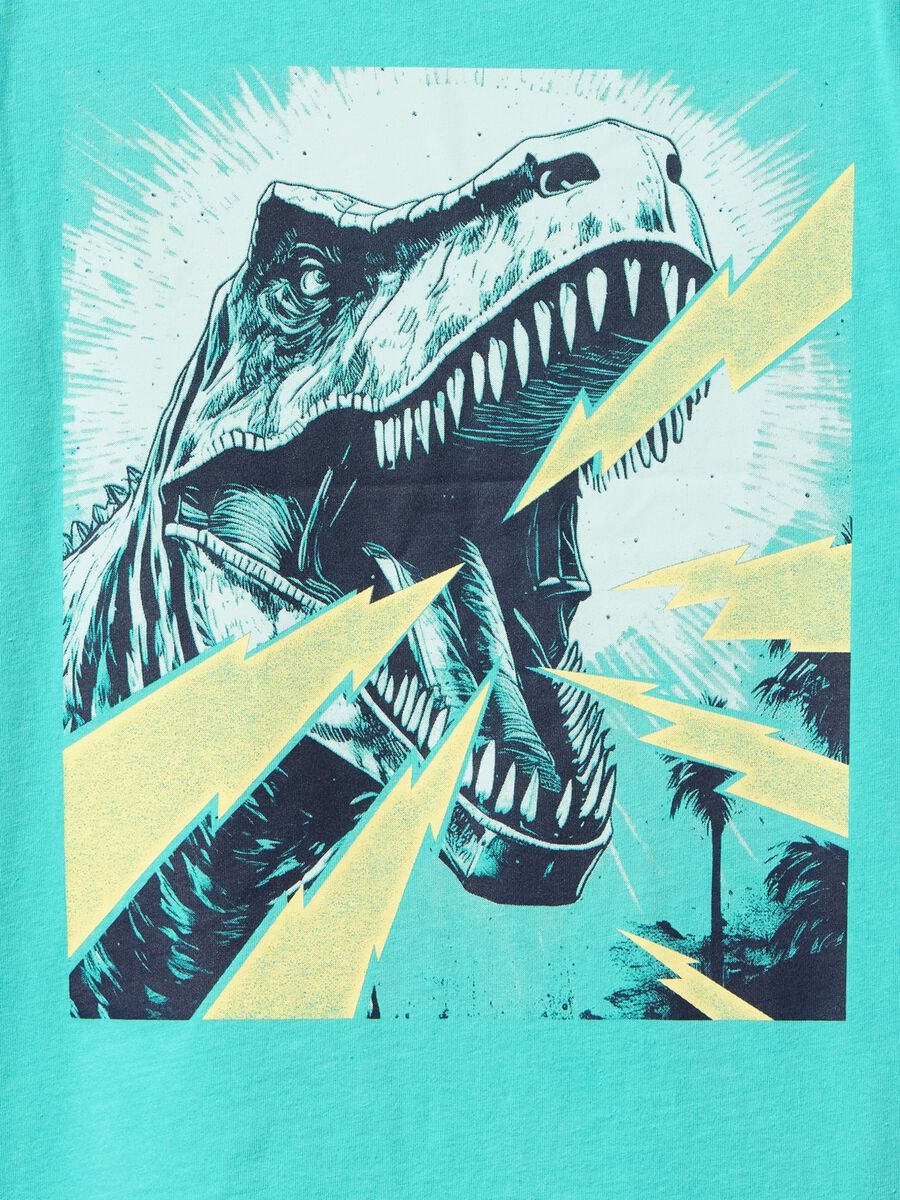 Turquoise Graphic T-shirt with Dinosaur_1