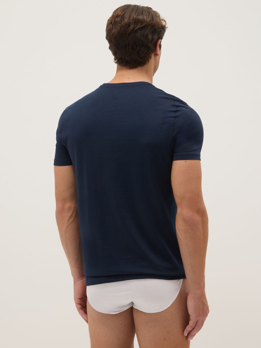 Regular Fit Round Neck Blue Pure Cotton T-shirt_2
