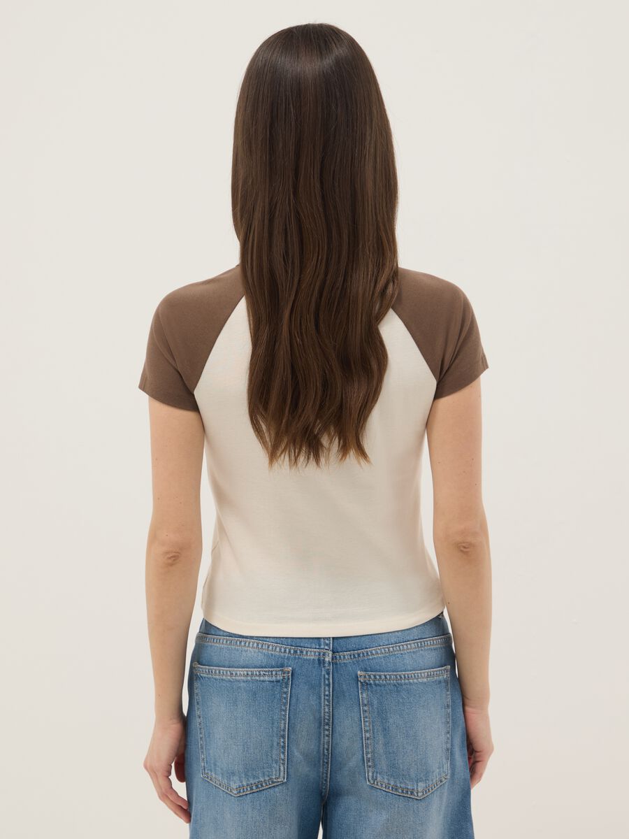 Multicolour pure cotton T-shirt, regular fit_2