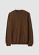 Brown pure wool crew-neck jumper, regular fit_0