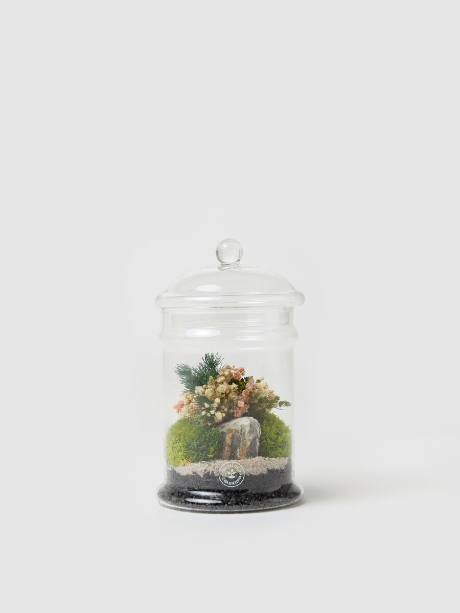 Evergreen Micro Terrarium_0