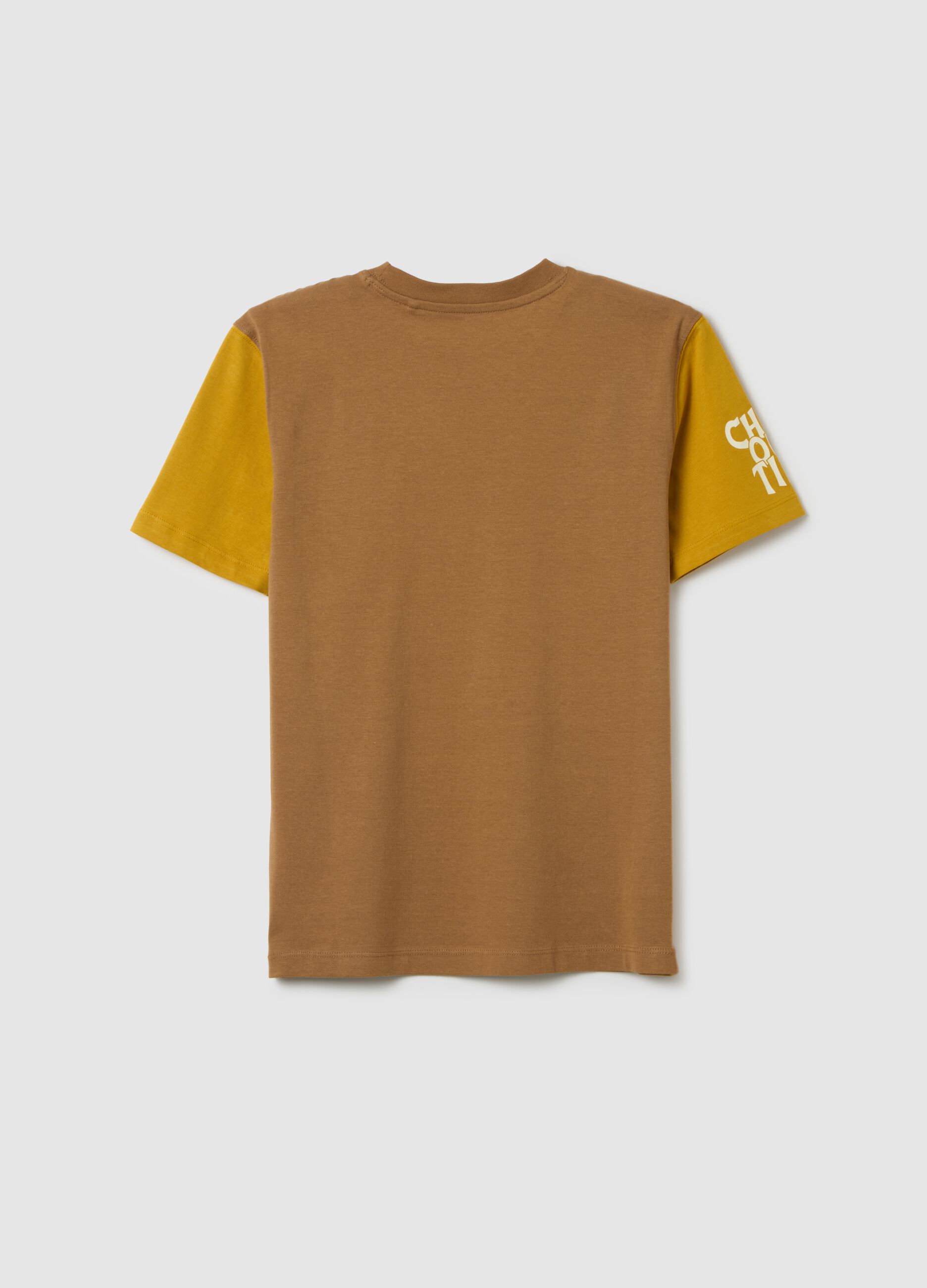 Boy's T-shirt in pure multicolour cotton with regular fit