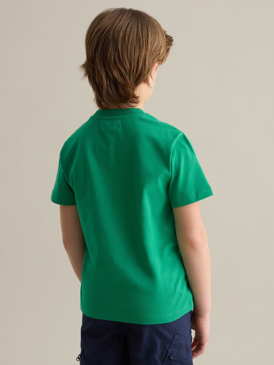 Cotton T-shirt with lettering embroidery_2