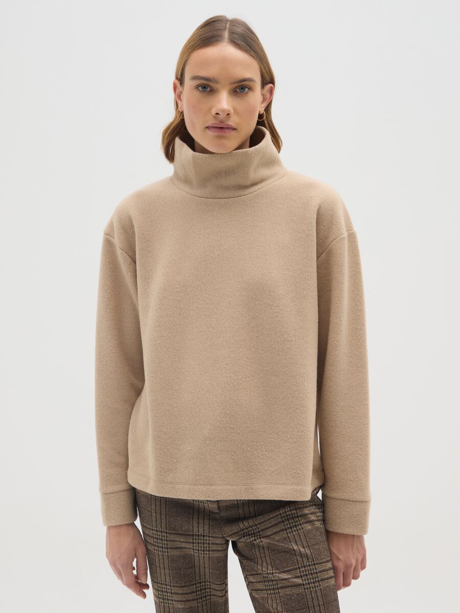 Beige High Neck Regular Fit Jumper_0