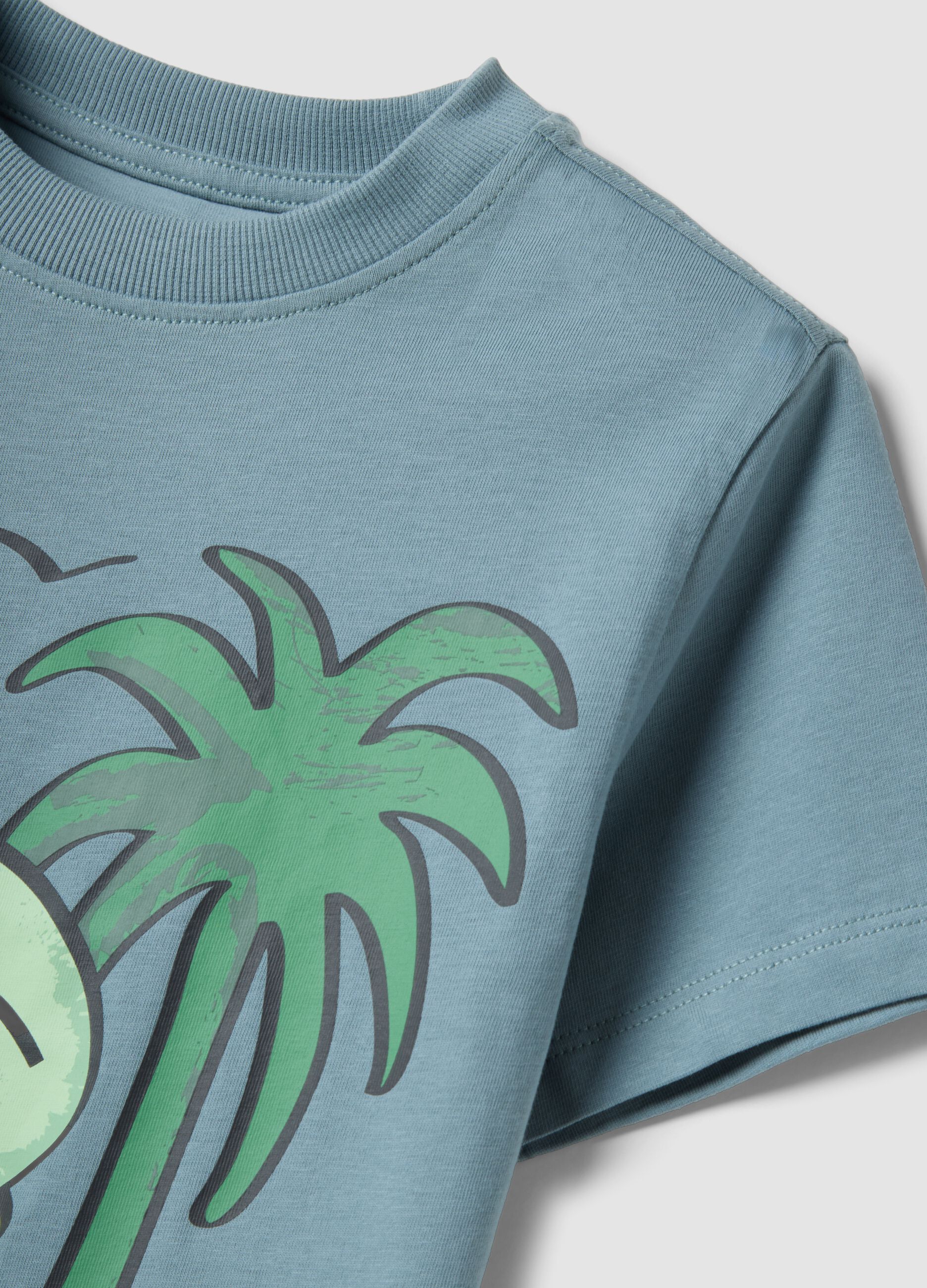 Blue pure cotton boys&rsquo; T-shirt with surf print, regular fit