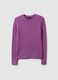 Purple pure cotton regular fit cable knit jumper_0