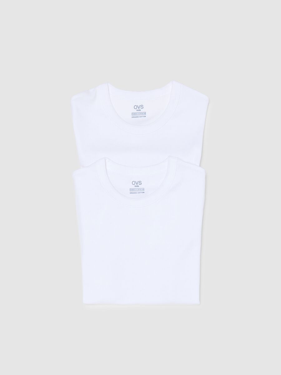 Pack of two white boy's t-shirts in pure cotton over fit_2