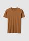 Brown Pure Cotton Regular Fit T-Shirt_4