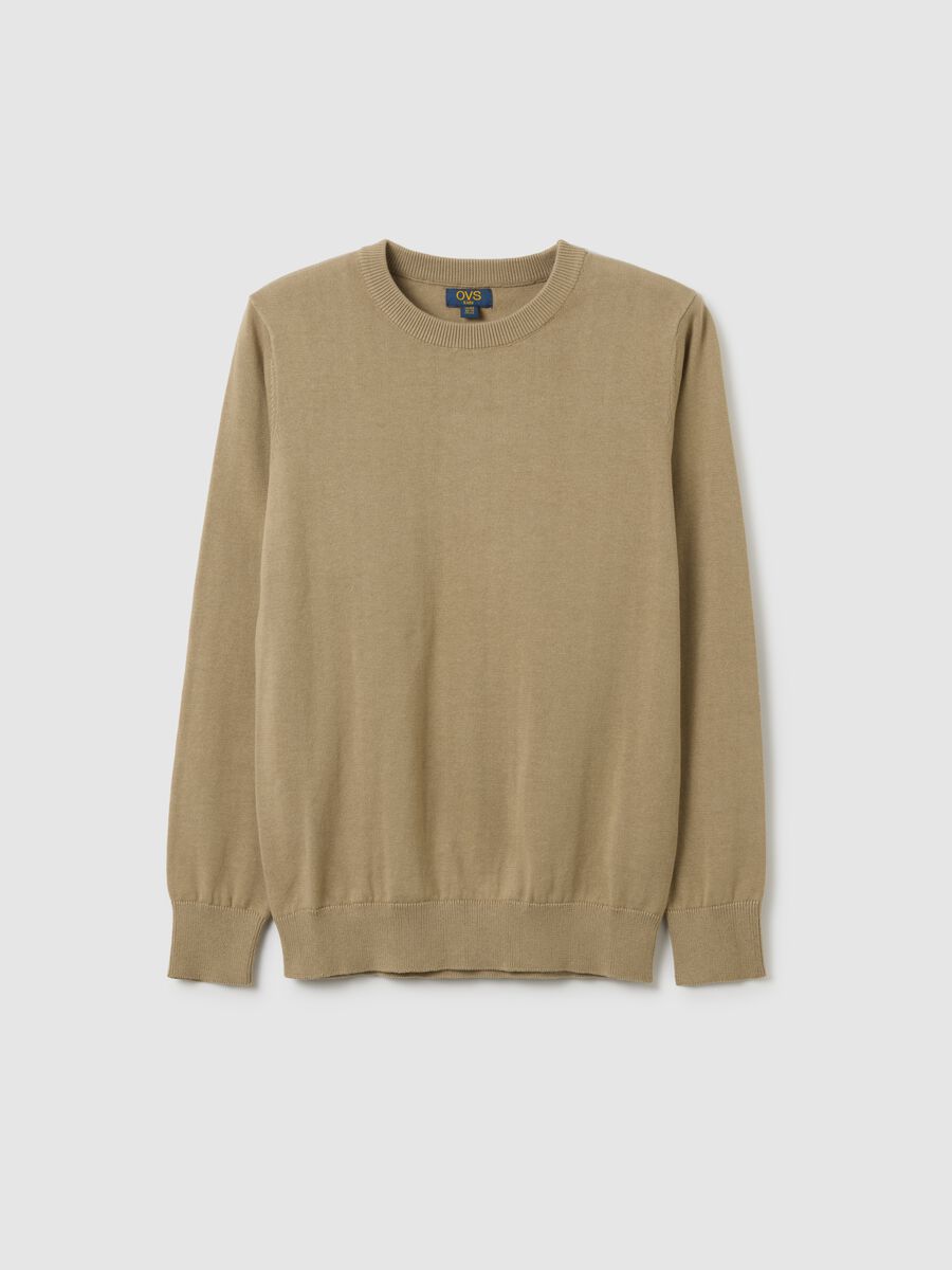 Boys' Pure Cotton Beige Sweater - Regular Fit_0