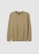 Boys' Pure Cotton Beige Sweater - Regular Fit_0