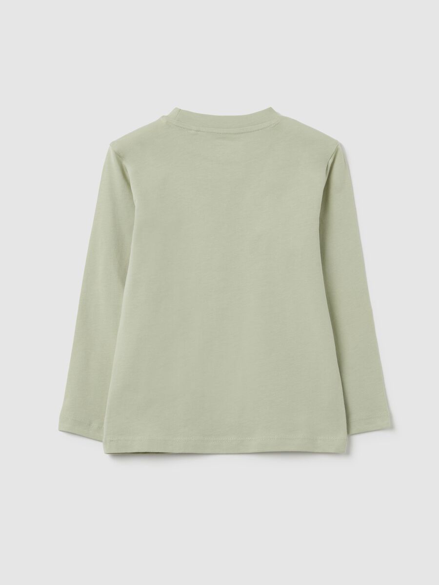 Children's green pure cotton regular fit jumper_1