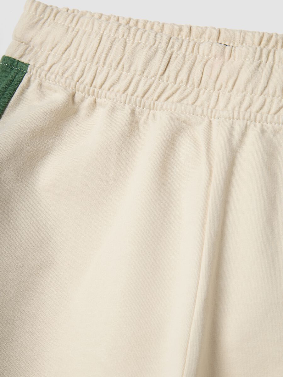 Multicoloured pure cotton regular fit shorts for boys_2