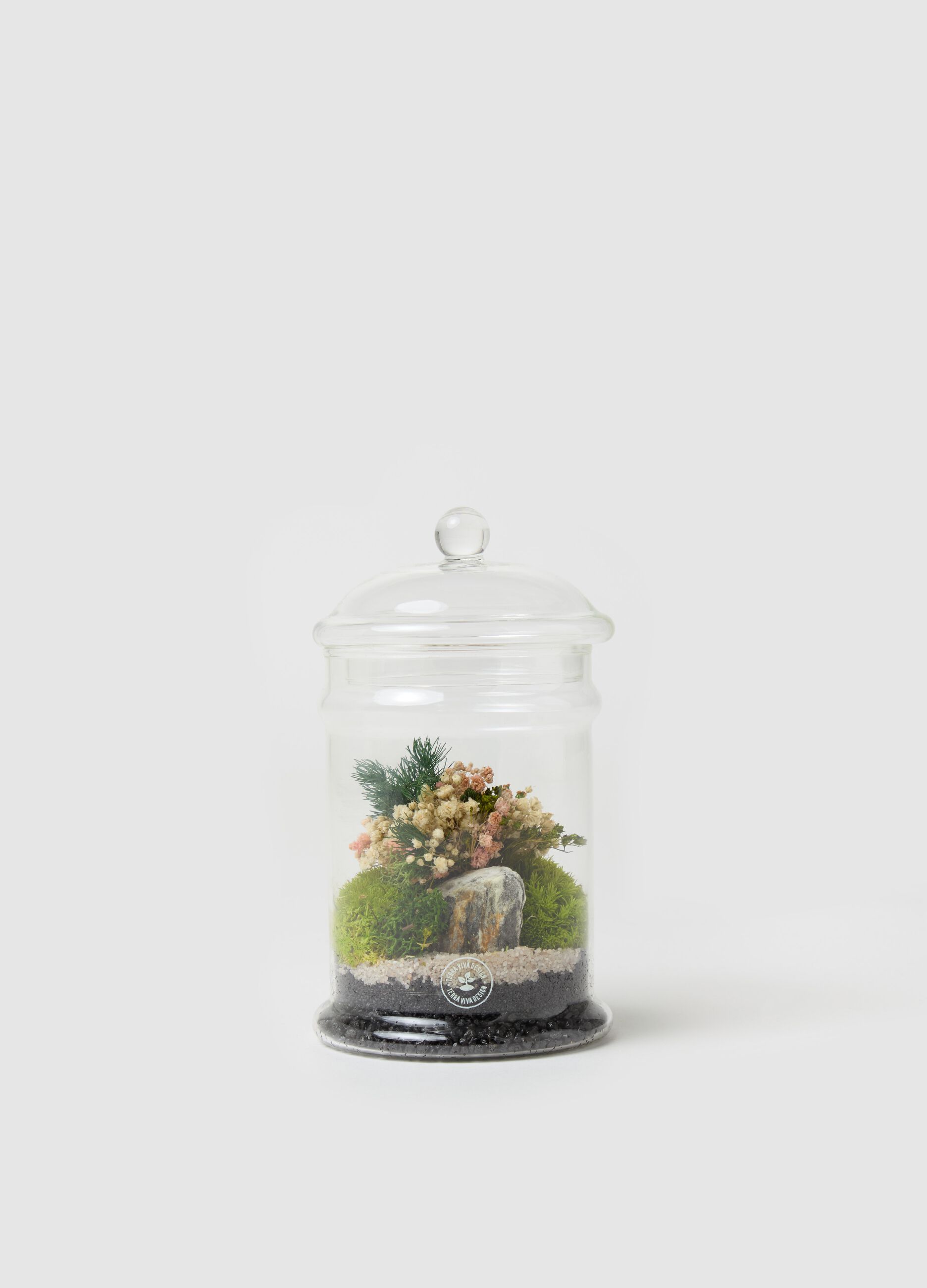 Evergreen Micro Terrarium
