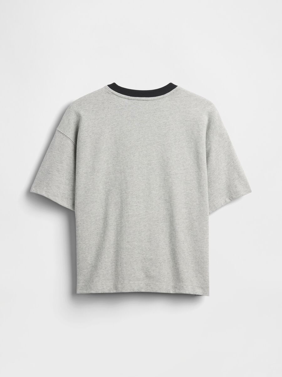 Grey cotton t-shirt with Star Wars print_1