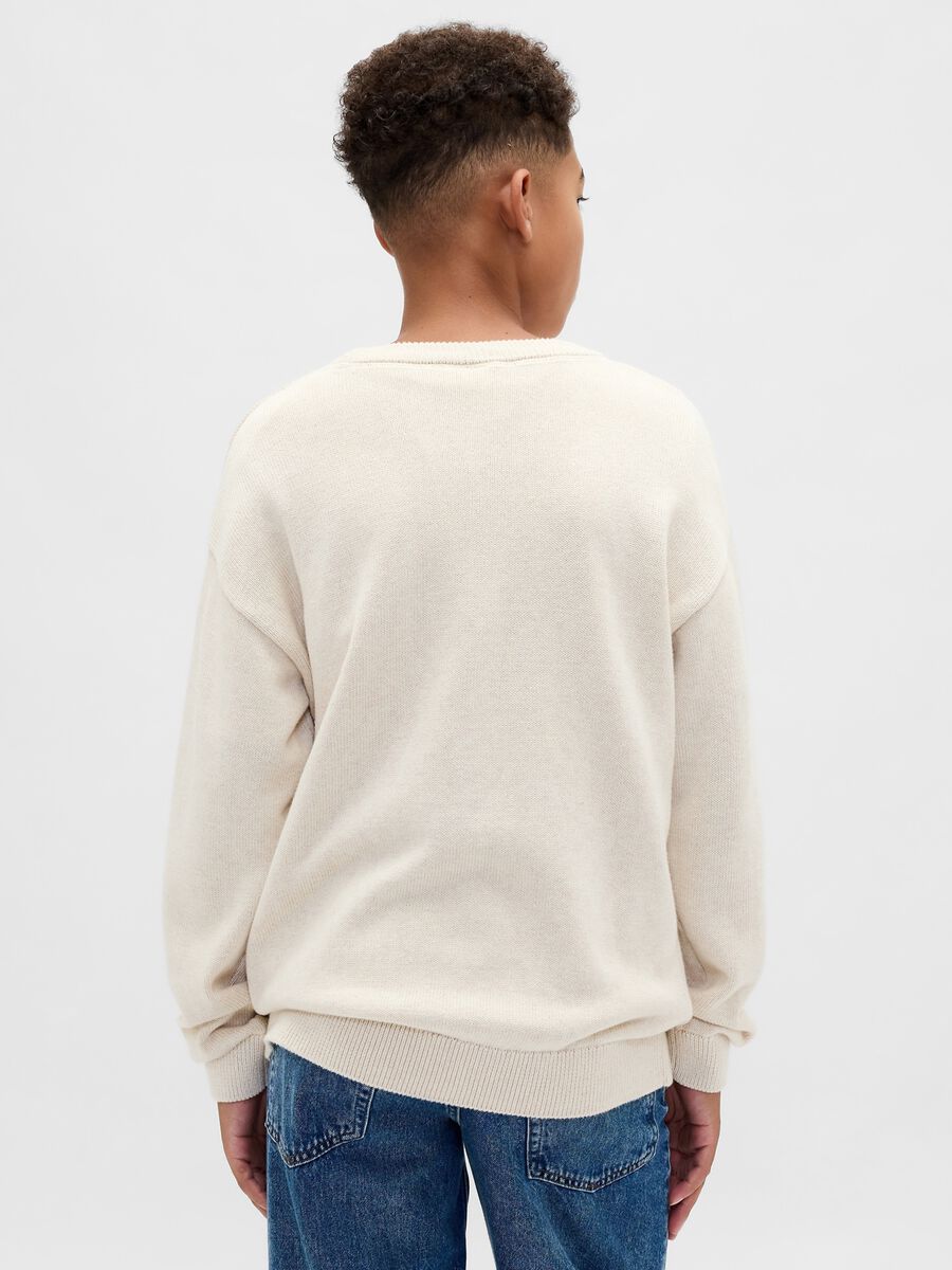 Beige Cotton Sweater_1