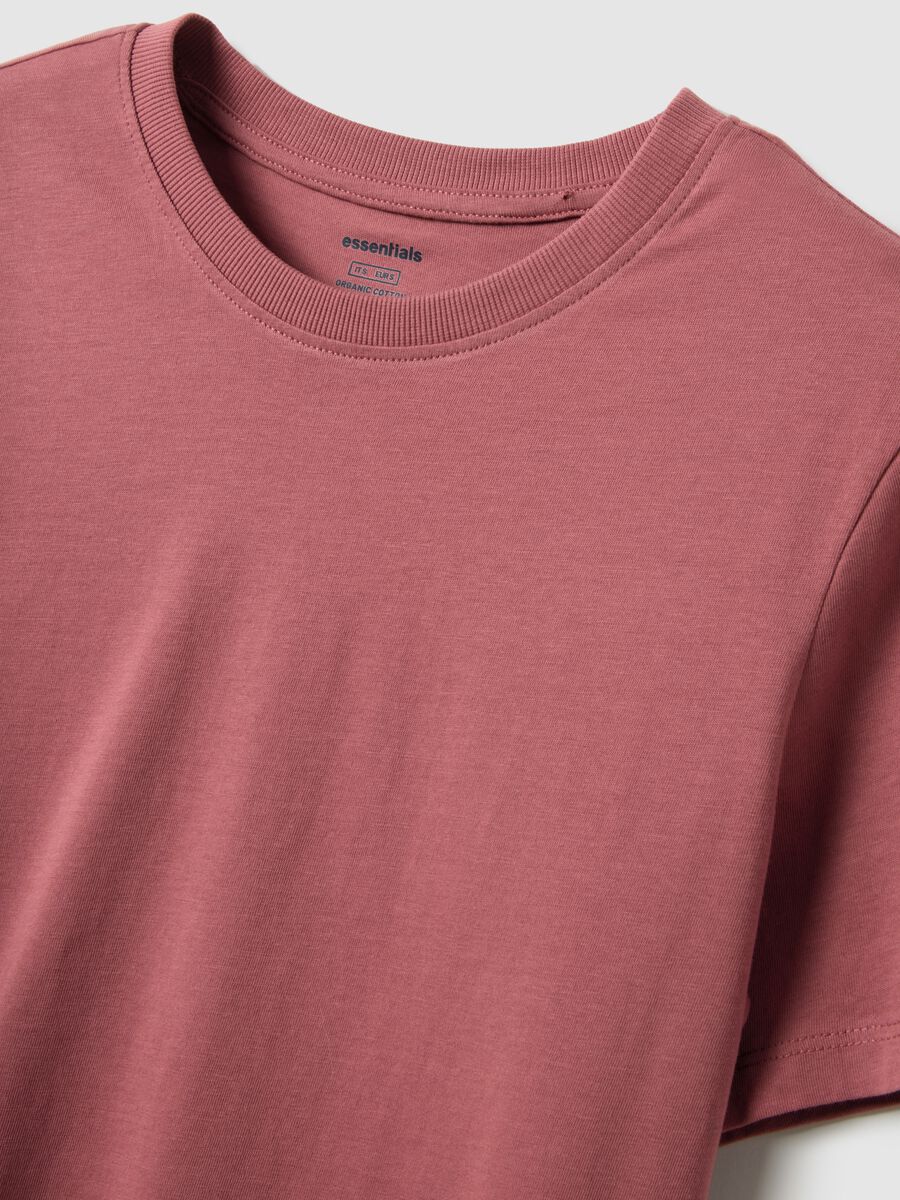 Pink pure cotton regular fit T-shirt_5