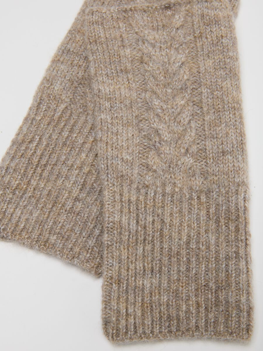 Beige Fingerless Gloves with Knitted Design_2