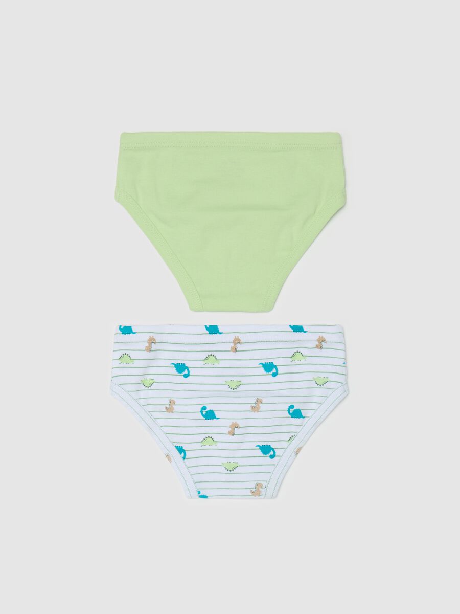 Two-pack cotton briefs with dinosaurs print_1