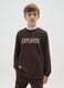 Boys' pure cotton brown sweatshirt regular fit_0