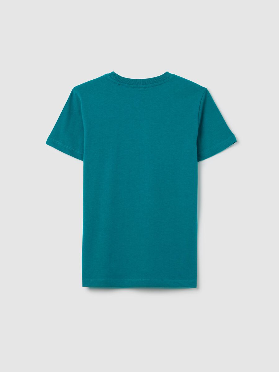 Cotton Kings Canyon Road Trip T-Shirt_4