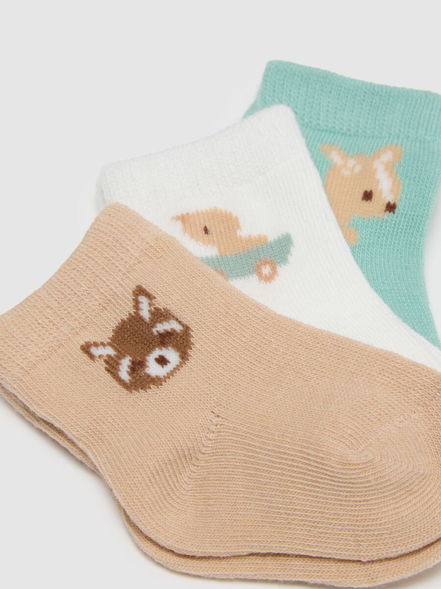 Multipack of newborn multicolour cotton blend socks_2