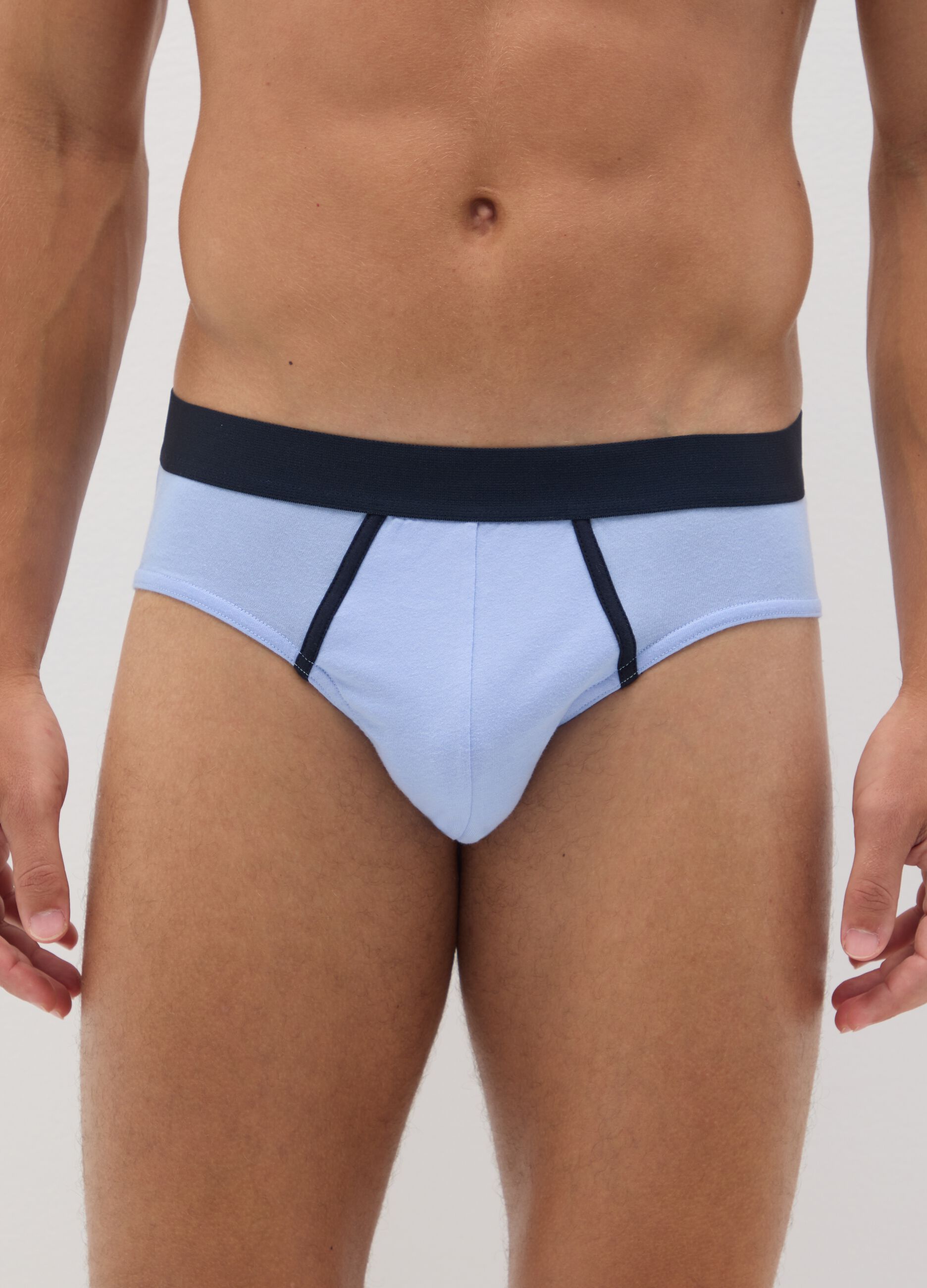 Set of multipack pure cotton multicolour regular fit briefs