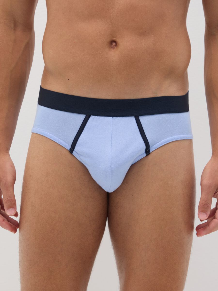 Set of multipack pure cotton multicolour regular fit briefs_1