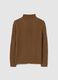 Brown Regular Fit Knitted Jumper_4