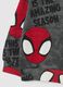Multicolour Pure Cotton Spider-Man Kid's Sweatshirt_3