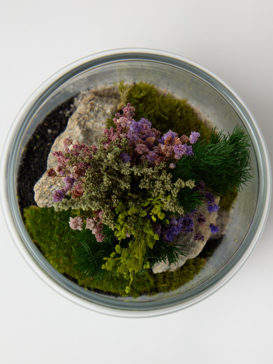 Evergreen Byron XS Terrarium_2
