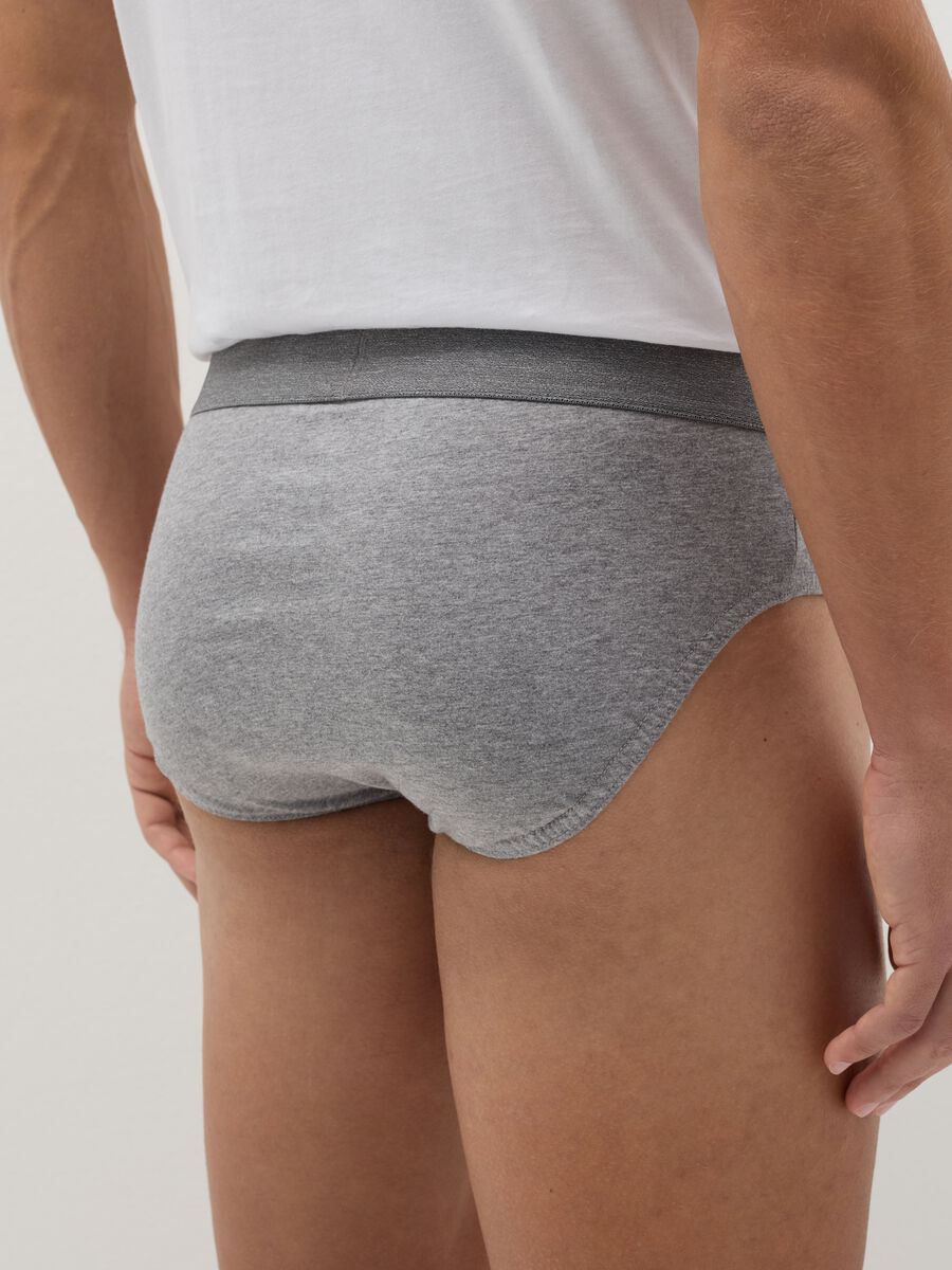 Three-pack briefs in organic cotton_2