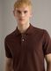 Brown short-sleeved pure cotton polo shirt with regular fit_3