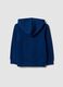 Blue hooded sweatshirt in pure organic cotton for boys, regular fit_1