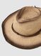 Brown paper-fabric cowboy hat_1