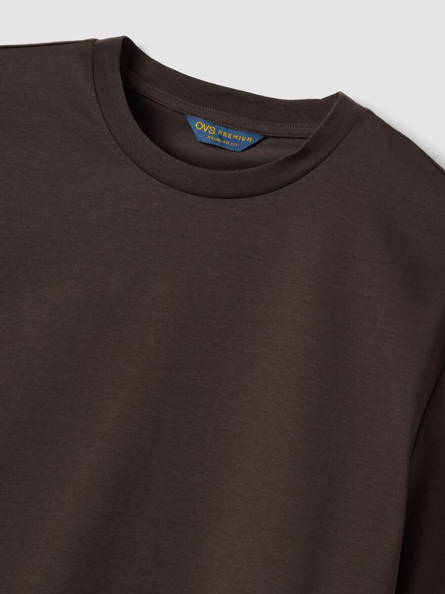 Brown mercerised pure cotton crew-neck T-shirt, regular fit_2