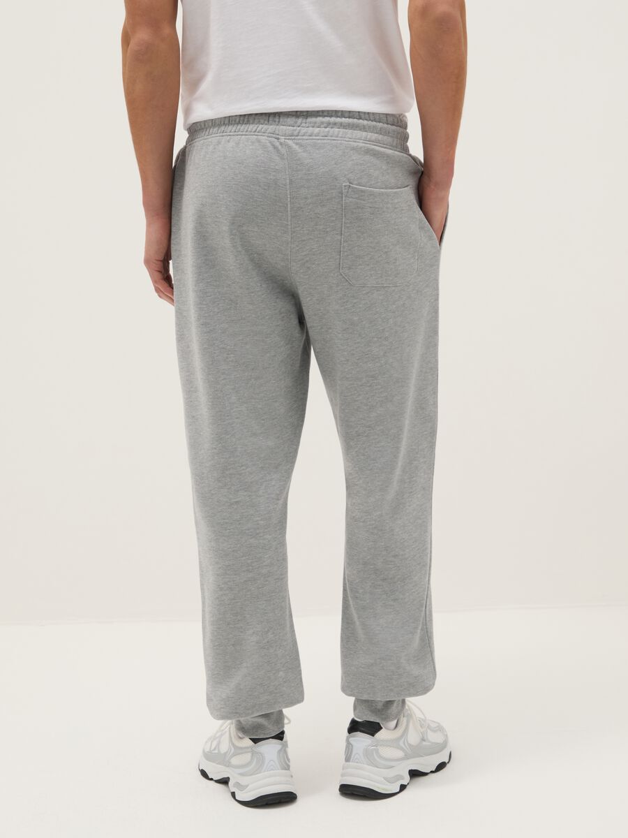 Regular Fit Grey Cotton Blend Jogger Trousers_2