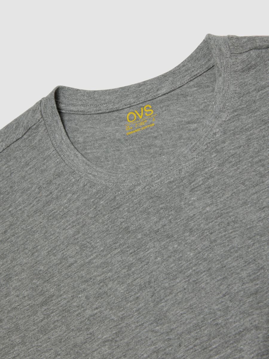 Grey regular-fit T-shirt in pure organic cotton_2
