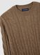 Brown regular fit crew neck jumper with cable knit_5