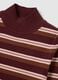 Brown striped fitted sweater_5