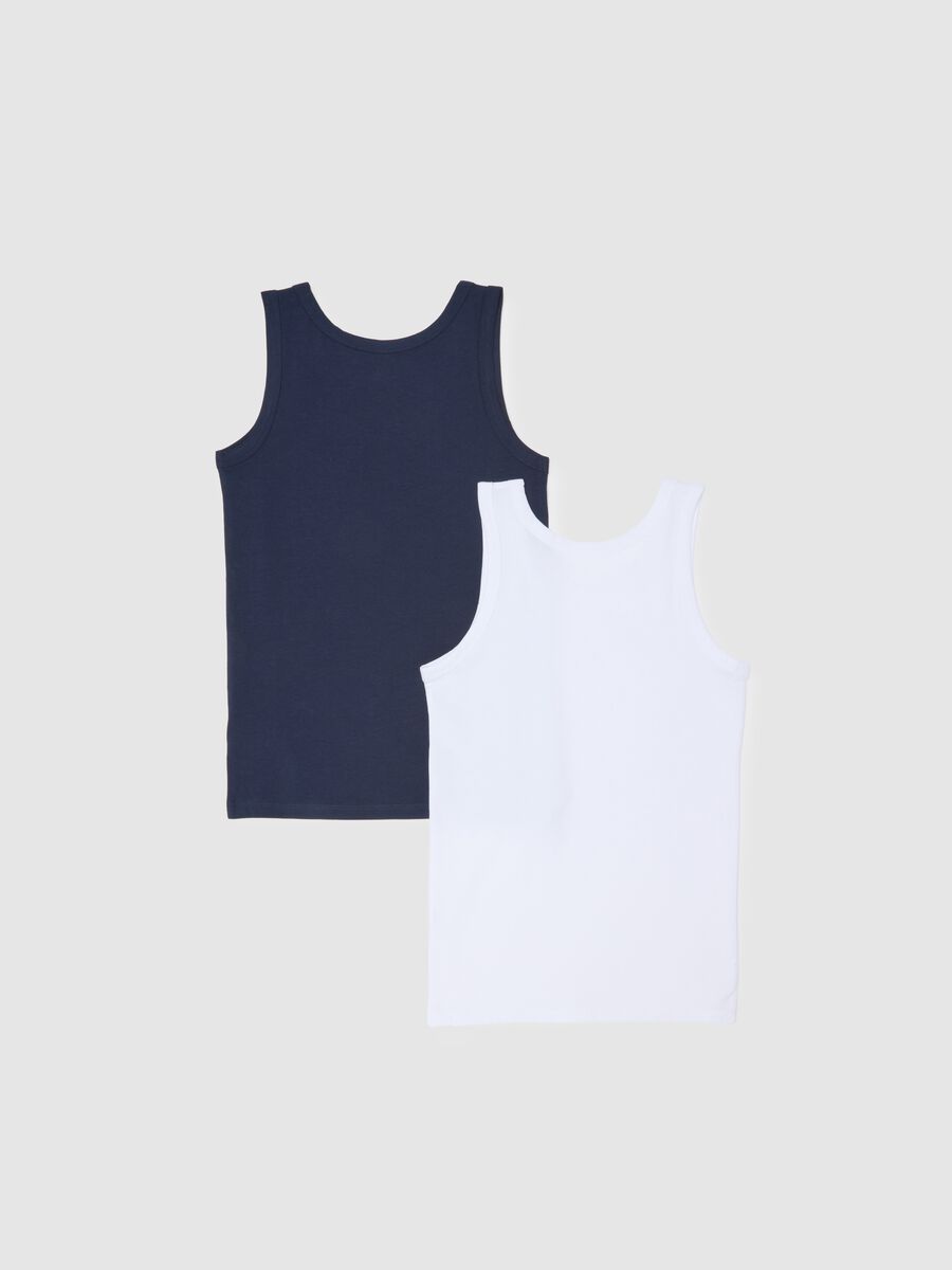 Boys' Multicolour Cotton Undershirt Duo Pack Regular Fit_1