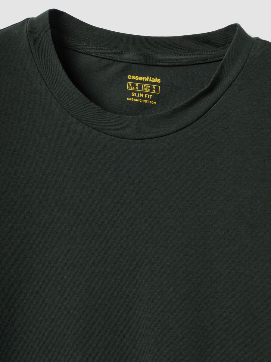 T-shirt verde in cotone organico a maniche corte slim fit_2