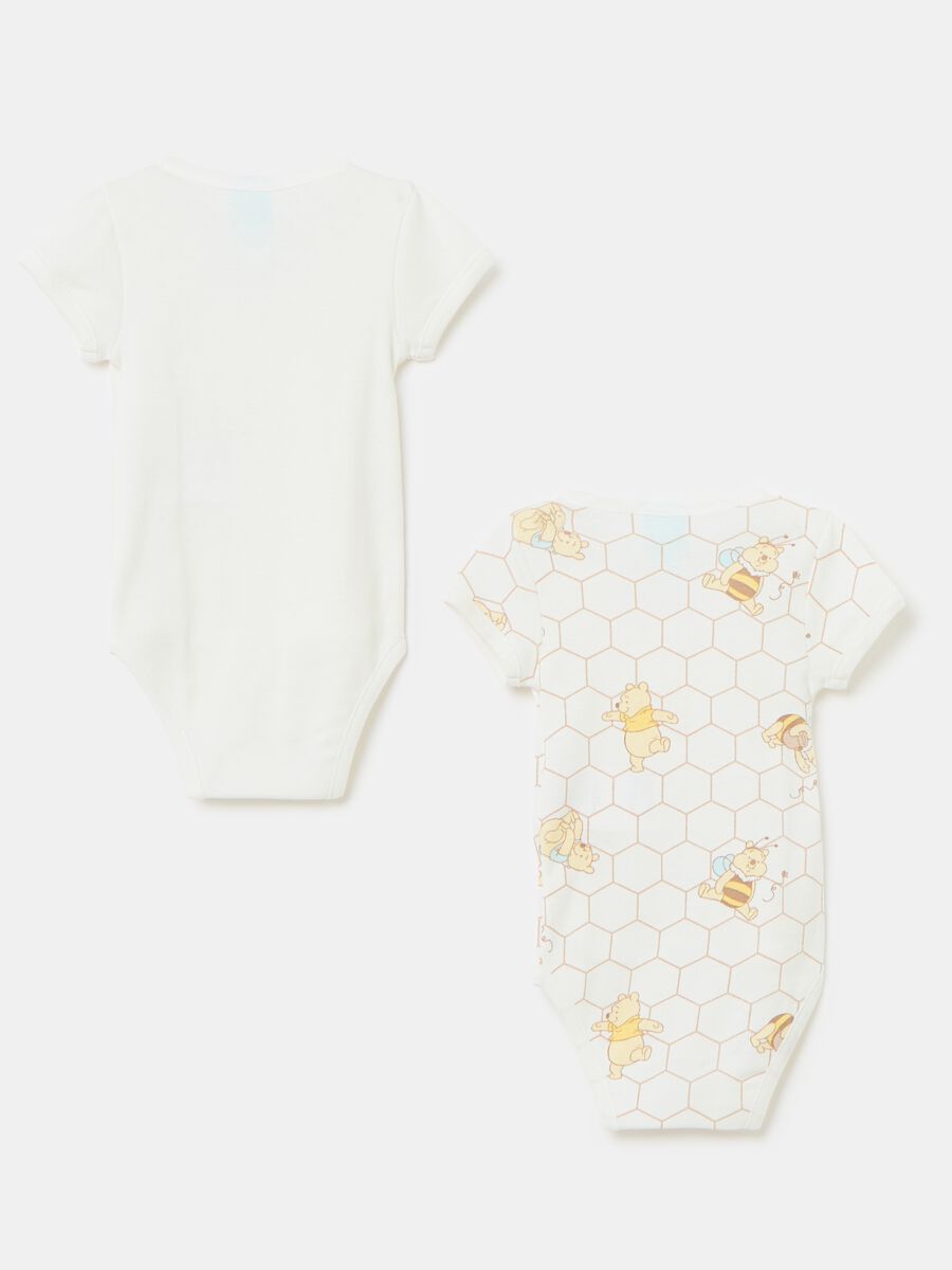 Two-pack Winnie the Pooh organic cotton bodysuits_1