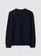 Navy V-neck jumper in regular fit_2