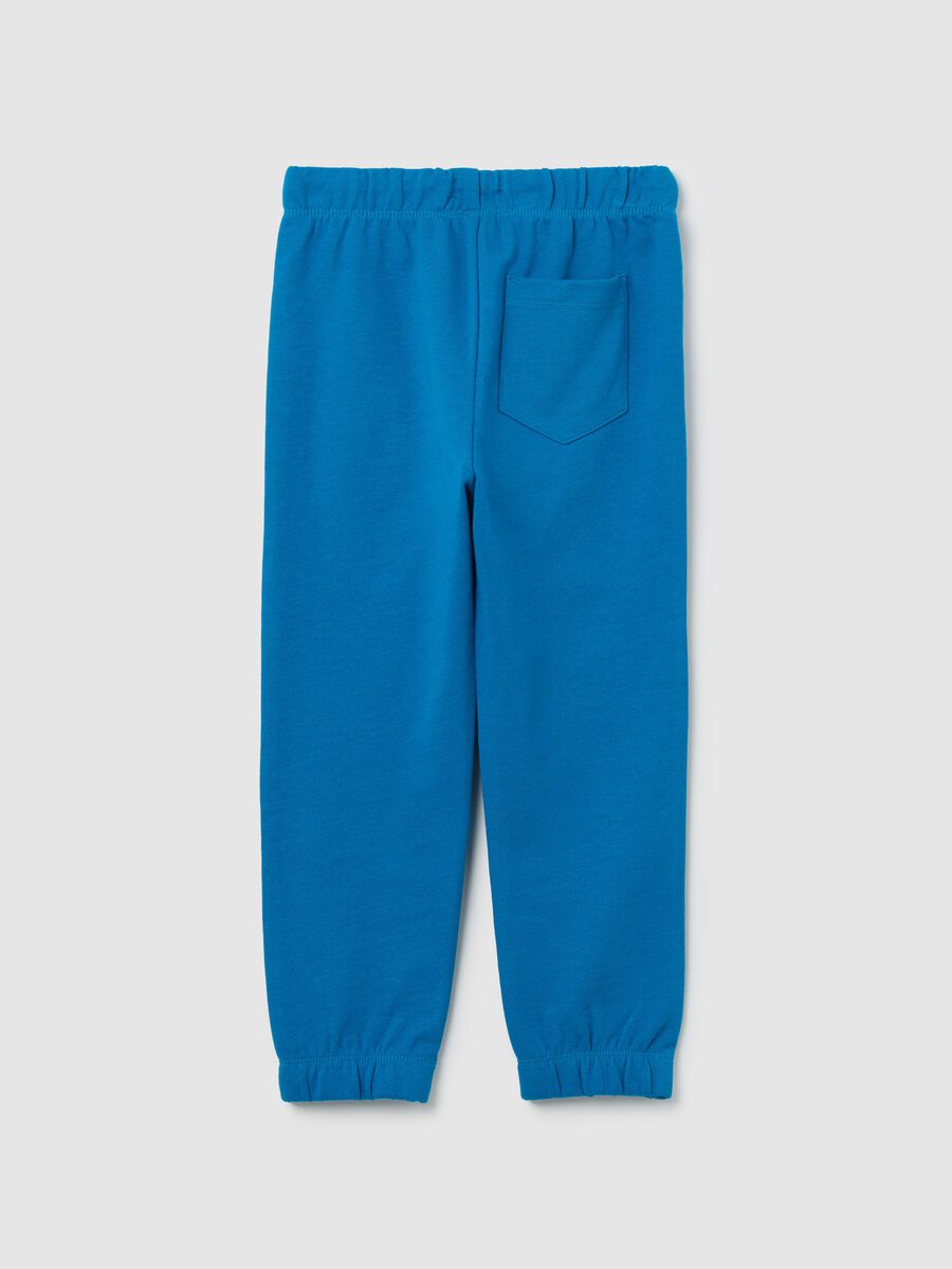 Light blue cotton joggers with drawstring and print_1