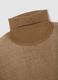 Brown Regular Fit Turtleneck_1