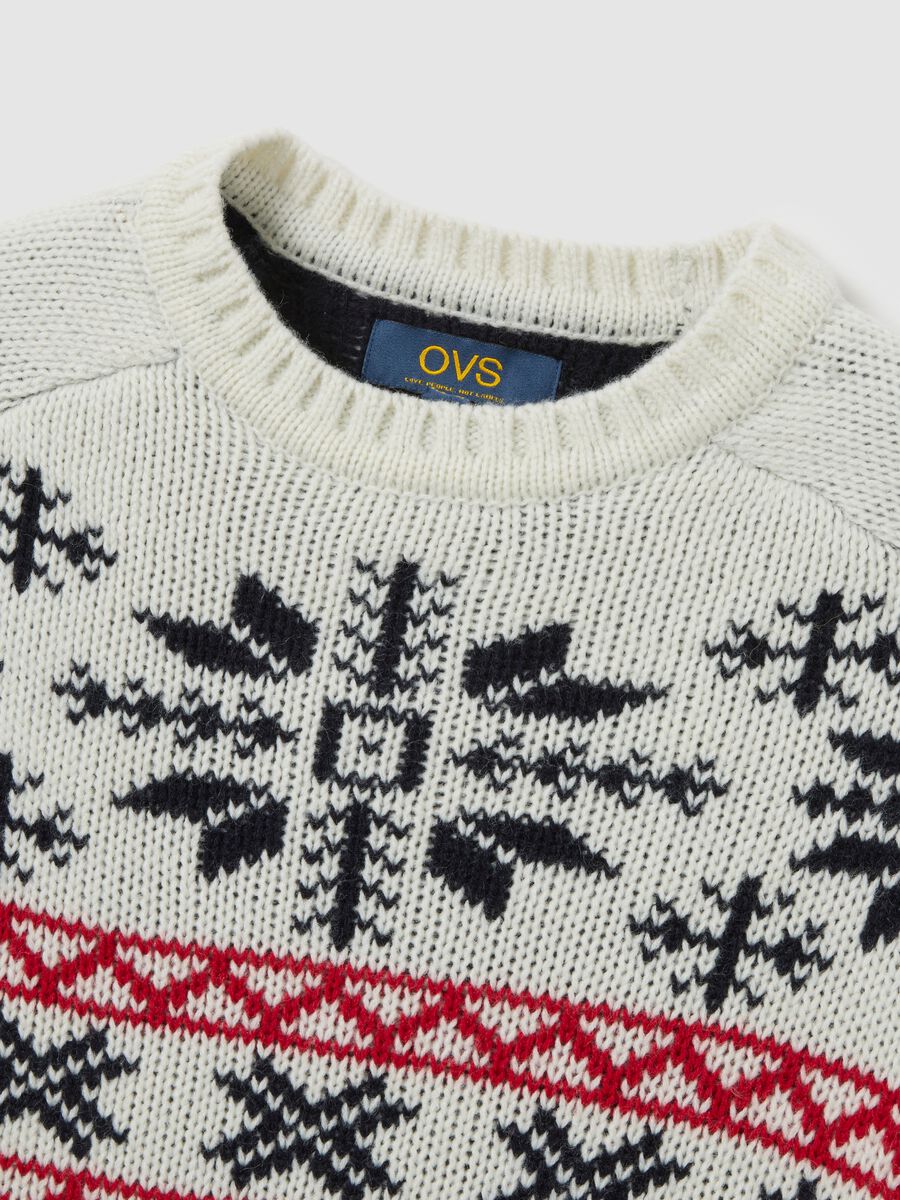 Multicolour regular fit jumper with jacquard pattern_2