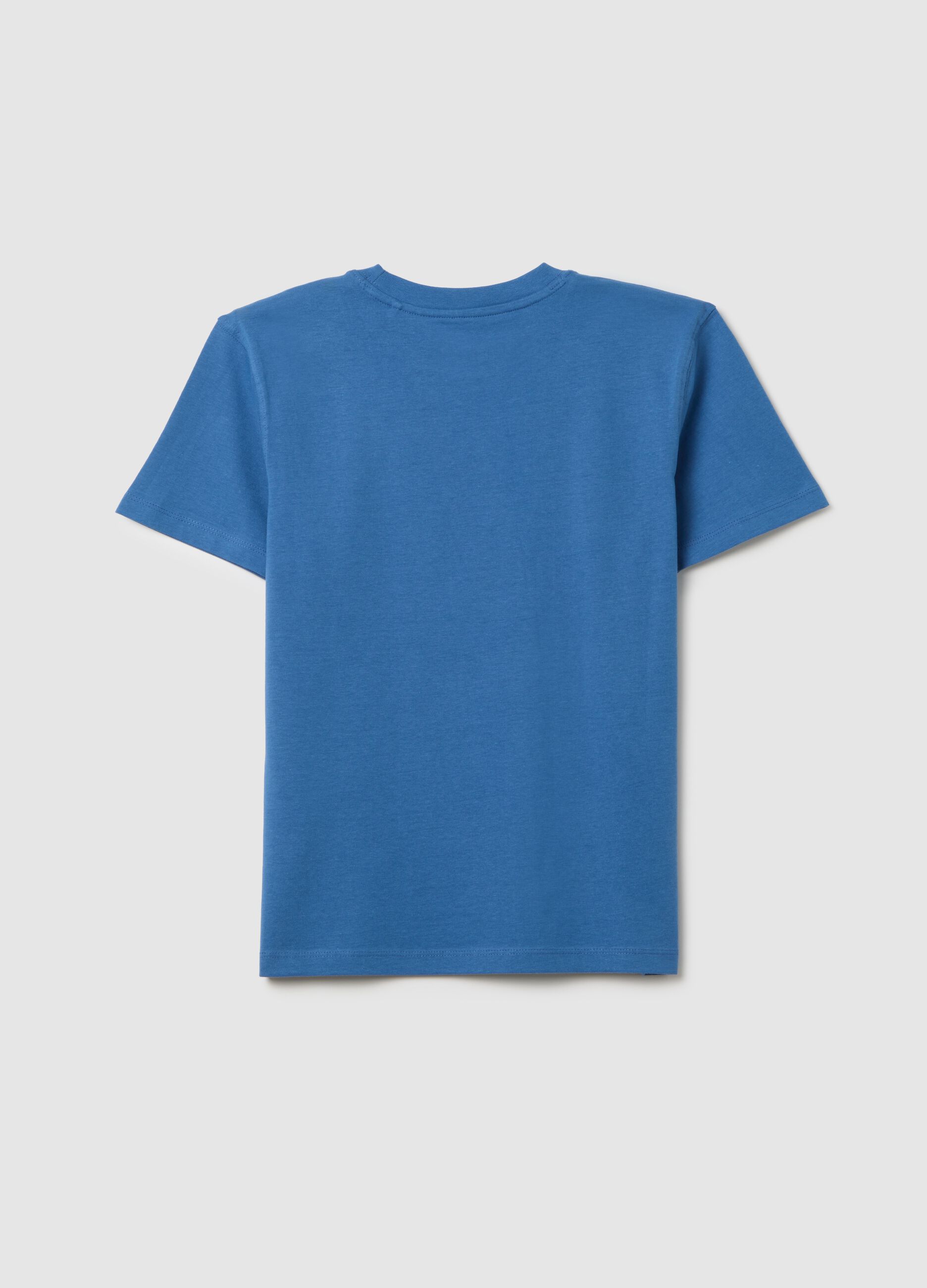 Boys' Pure Cotton Blue Regular Fit T-shirt with Print
