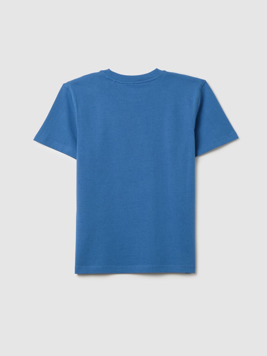 Boys' Pure Cotton Blue Regular Fit T-shirt with Print_1