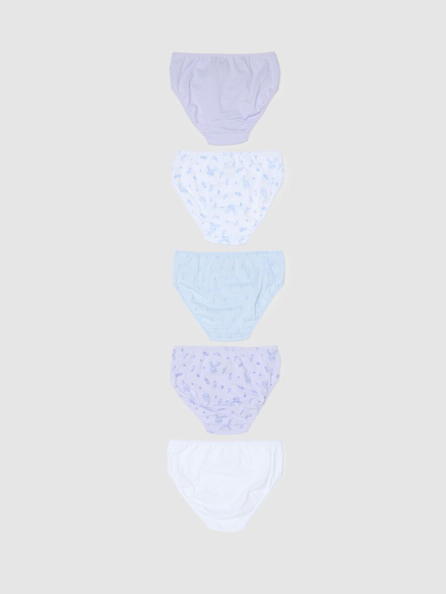 Set of girl's multicolour pure cotton regular fit briefs_1