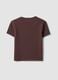 Brown polka-dot cropped pure cotton T-shirt, regular fit_5